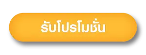 รับโปรชั่น